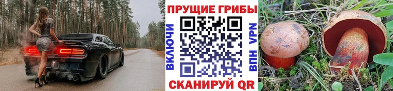 Псилоцибиновые грибы Psilocybine cubensis наркота Данилов